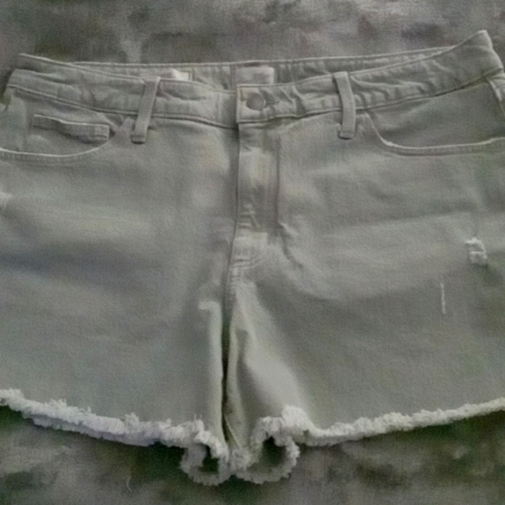 Universal Thread Vintage Shorts in Light Gray